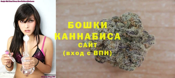 дживик Аркадак