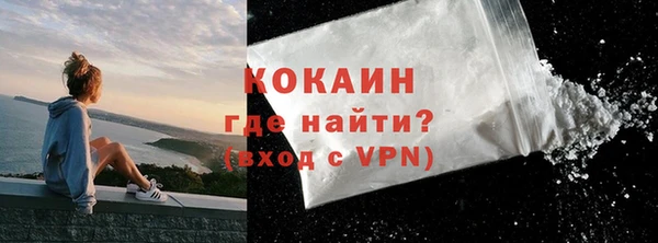 твердый Арсеньев