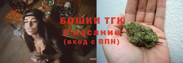 твердый Арсеньев