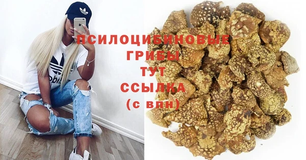 трава Армянск