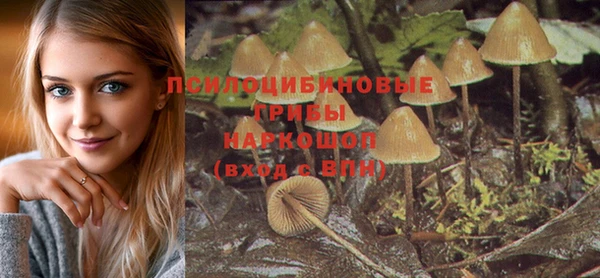дживик Аркадак