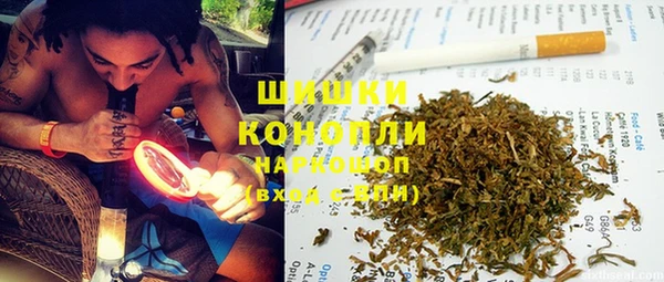 дживик Аркадак