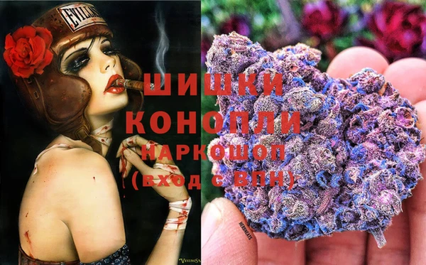 дживик Аркадак