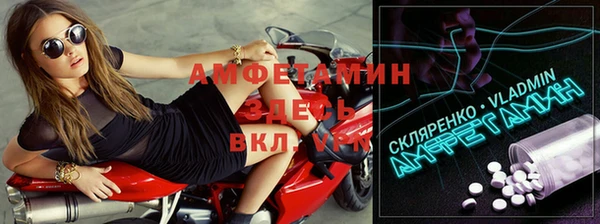 твердый Арсеньев