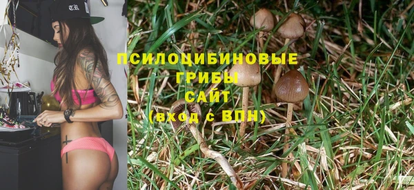 твердый Арсеньев