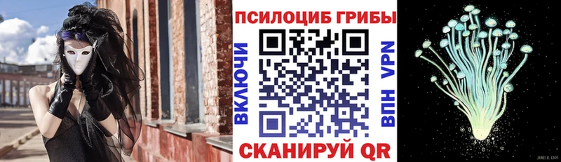 Галлюциногенные грибы Magic Shrooms  сколько стоит  mega как войти  Темников 